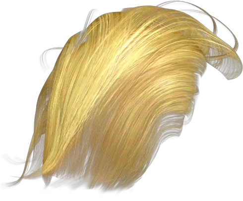 Trump Hair Transparent Png Yellow Hair Trump Donald Trump Head Transparent