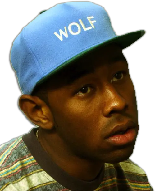 Tyler The Creator Png Image Tyler The Creator Wolf Album Tyler The Creator Png