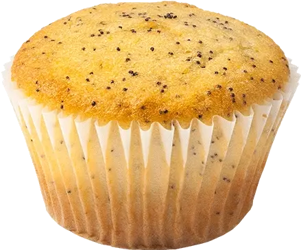 Png Background Poppy Seed Muffin Png Muffin Png
