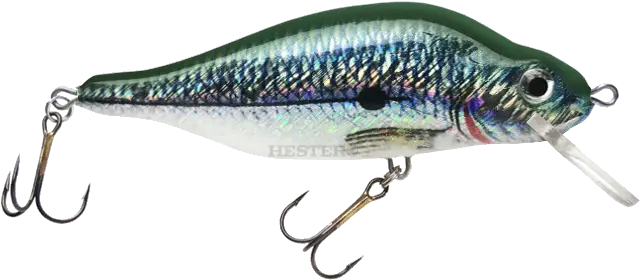 Polish Perch Bait Fish Png Fishing Lure Png