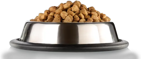 Dog Food Png Picture Dog Food Plate Png Dog Food Png
