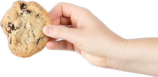 Cookie Policy Andea Hand With Cookie Transparent Png Cookie Transparent