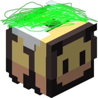 Can Anyone Help Me To Give This Poor Bee A Real Melon Hat Minecraft Sheep Pet Png Me Too Icon