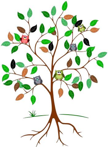 Tree Roots Owls In A Tree Clipart Png Download Original Tree With Owls Clipart Tree With Roots Png png