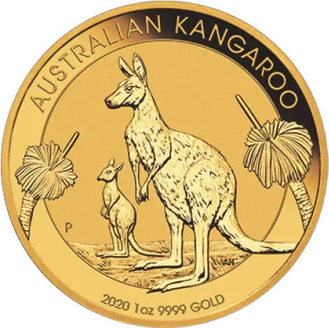 Australia Kangaroo 9999 Gold Coin Bu Dragon City Cafe Png Kangaroo Transparent