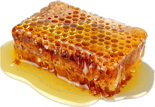 Transparent Noms Bee Propolis Honey Png Honey Transparent
