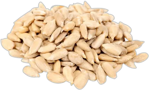 Sunflower Seed Transparent Png Sunflower Seeds During Pregnancy Seed Png