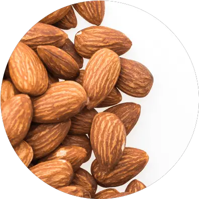Vitamin E Acetate Atache Fresh Png Almonds Icon