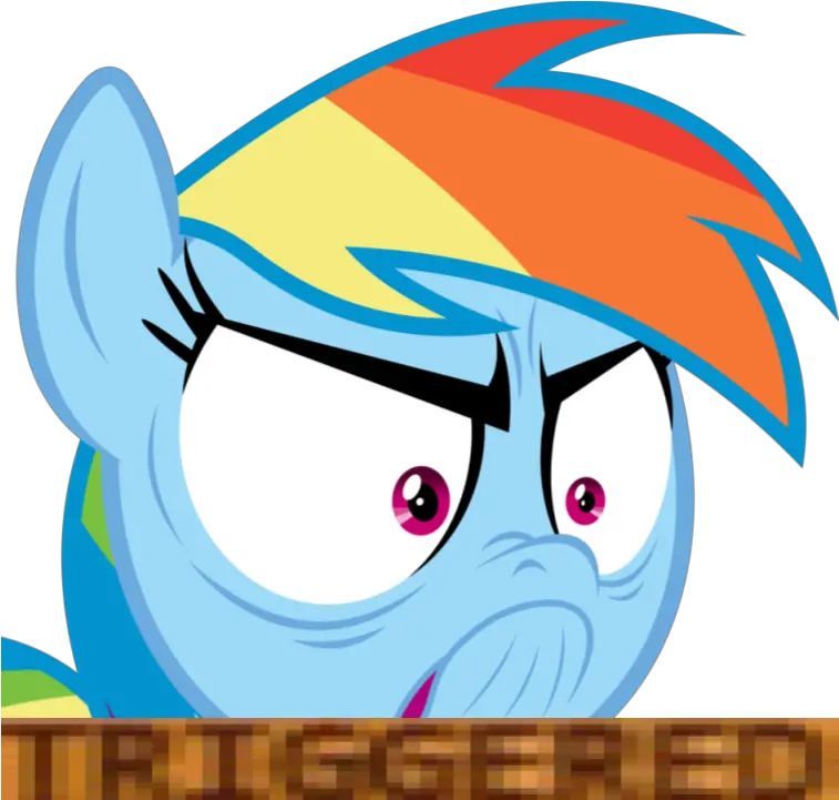 Meme De Drake Png 4 Image My Little Pony Rainbow Dash Meme Meme Transparent Background