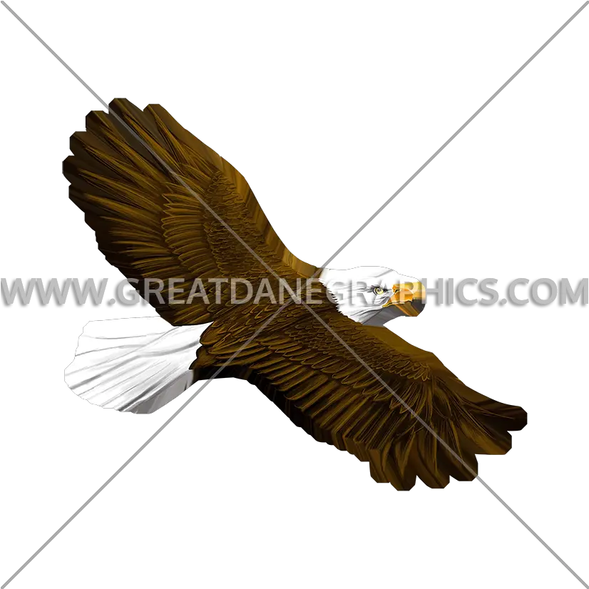 Eagle Flying Production Ready Artwork For T Shirt Printing Condor Png Eagle Flying Png