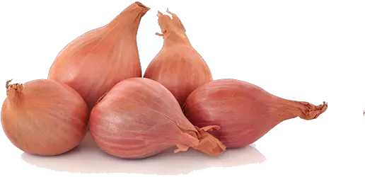 Shallots Png Transparent Images Free Clipart Vectors Psd Shallots Walmart Pearl Transparent Background