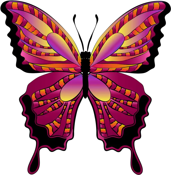 Butterfly Clipart Png Download Full Size Clipart Butterfly Clipart Free Butterfly Clipart Png png
