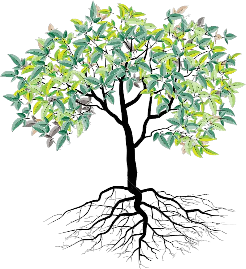 Faith Family And Roots Cartoon Tree With Roots Png Roots Png