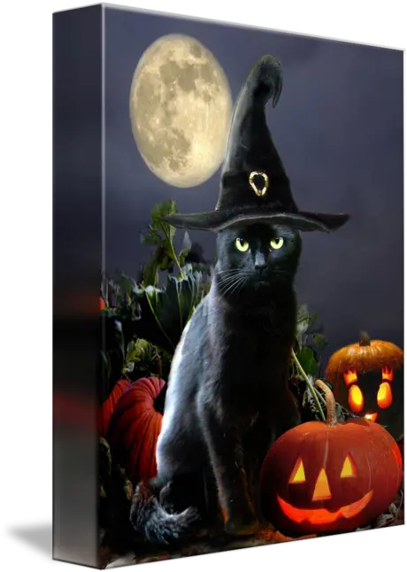 Black Halloween Cat With Witch Hat By Gina Femrite Happy Halloween Black Cat Png Halloween Cat Png png