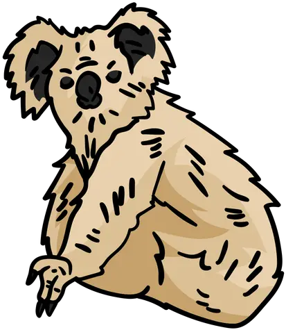 Koala Bear Hand Drawn Dog Png Koala Bear Png