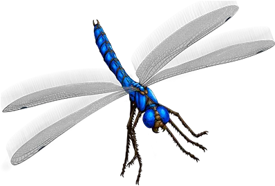 Dragonfly Prickler Wesnoth Units Database Png Dragon Fly Png