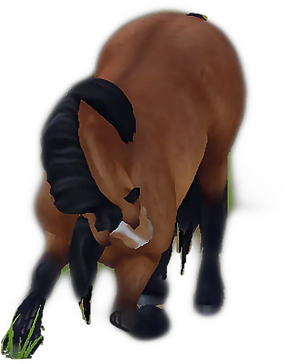 Figure Sso Pony Norvik Emoji Horse Star Stable Limited North Swedish Horse Png Horse Emoji Png