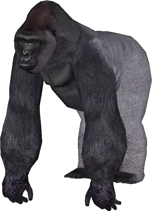 Zoo Tycoon 2 Gorilla Transparent Png Zoo Tycoon 2 Gorilla Gorilla Png