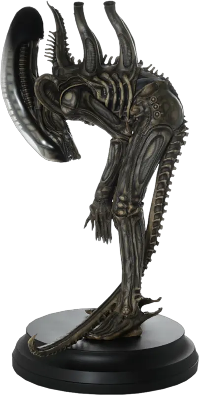 Aliencollectorscom Your Alien Figures And Merchandising Alien Mamegyorai Png Xenomorph Png