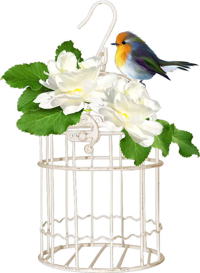 Bird Cage Cage 650x950 Png Clipart Download Bird Cage Png