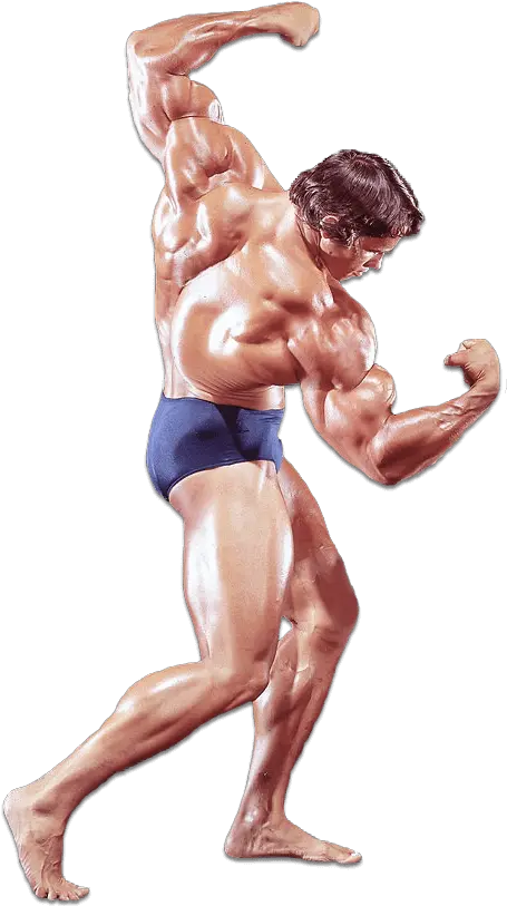 Download Arnold Schwarzenegger Body Builder Arnold Png Arnold Schwarzenegger Transparent