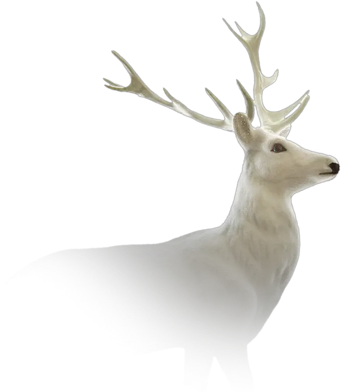 Deer Png Images Deer Deer Antlers Png