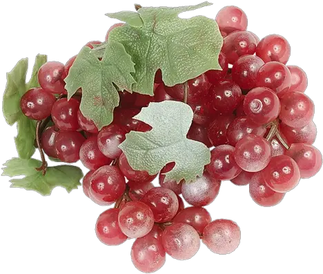 Grape Png Image Download Free Picture Grapes Transparent Background