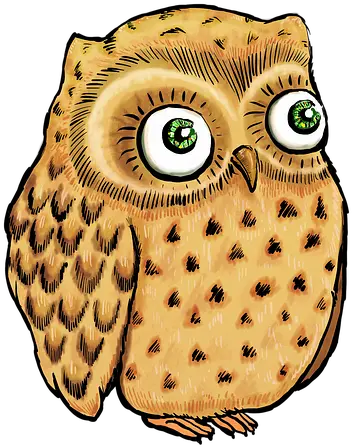 Cute Owl Illustration Drawing Owls Png Owl Png