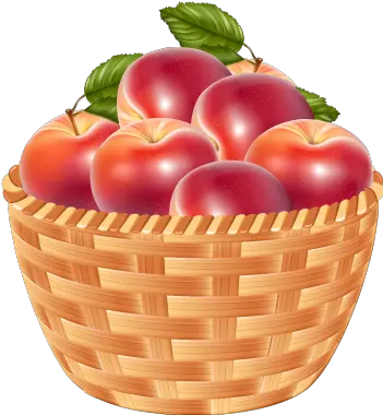 Basket Of Apples Png Free Download Basket Png Apples Png