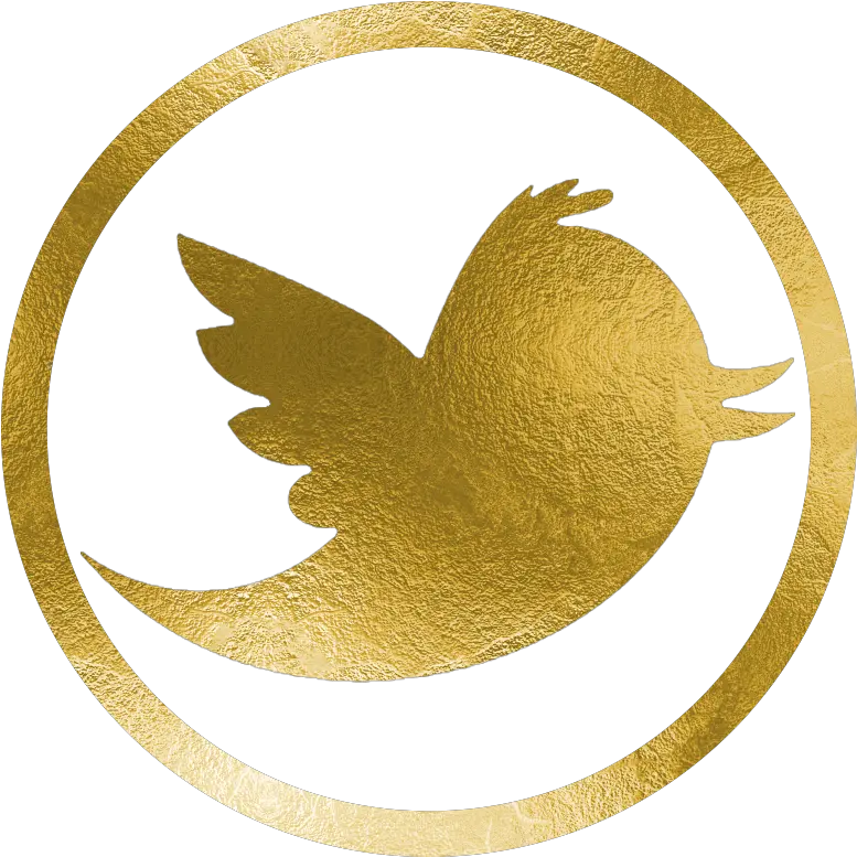 Download Hd Twitter Gold Twitter Logo Transparent Twitter Logo In Gold Png Twiiter Logo