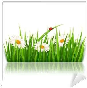 Nature Background With Green Grass And Flowers Vector Wall Mural U2022 Pixers We Live To Change Png Flowers Vector Png