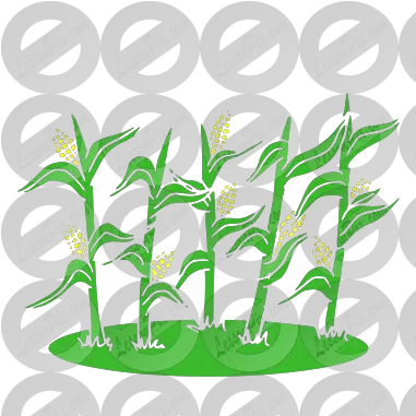 Corn Stalks Stencil For Classroom Therapy Use Great Corn Illustration Png Corn Stalk Png