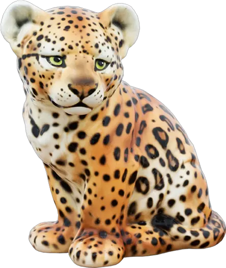 Jaguar Bebe Png 3 Image African Leopard Jaguar Png