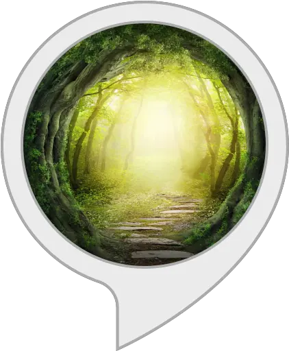 Forest Fantasy Music U0026 Background Amazonin Alexa Skills Magic Forest Drawing Dark Png Forest Transparent Background