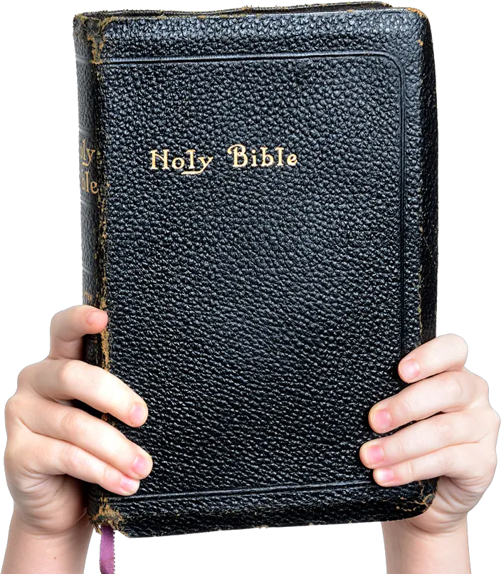 Download Hd Hands Holding Up The Bible Holding Up A Bible Png Bible Png