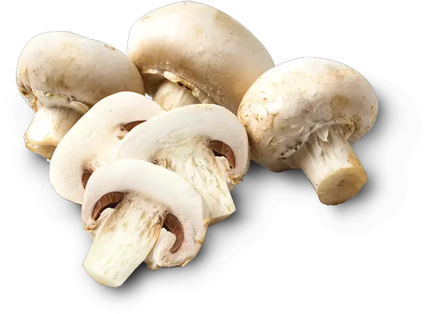 Download Mushrooms Champignon Mushroom Png Image With No Transparent Background Sliced Mushroom Png Mushrooms Png