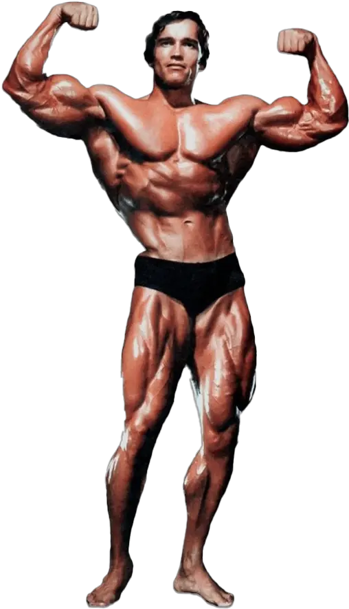 Arnold Schwarzenegger Bodybuilding Png Arnold Schwarzenegger Diet Plan Body Builder Png