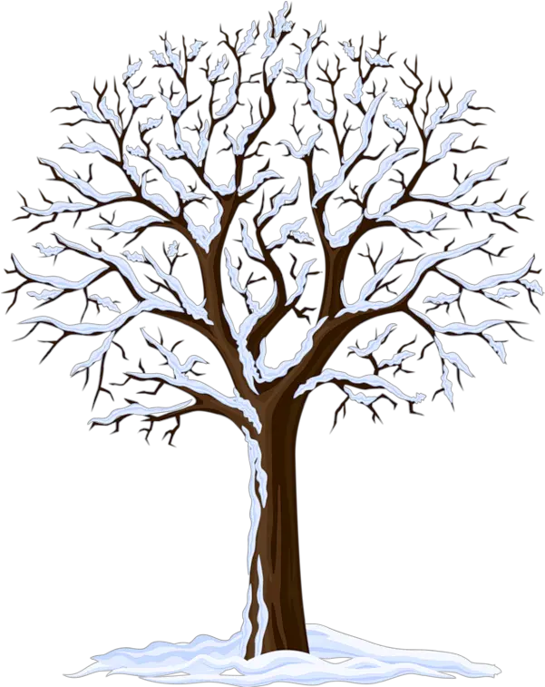Clipart Arbre Tree Bare Winter Tree Vector Png Trees Background Png
