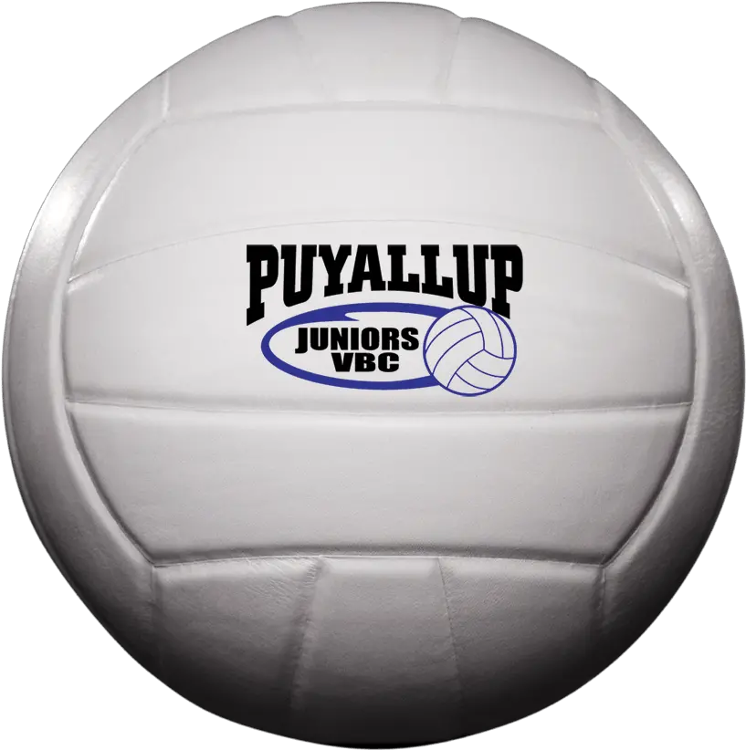 Volleyball Png Image File