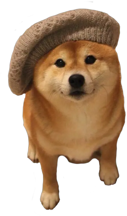 Download Shiba Inu Beret Png Image With No Background Doge With A Hat Meme Shiba Inu Png