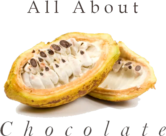 Logo Photoshop Transparent All About Chocolateall About Cacao Pulp Png Photoshop Logo Transparent