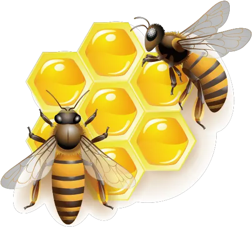 Honey Bee Clip Art Honey Bee Png Transparent Bee Transparent Background