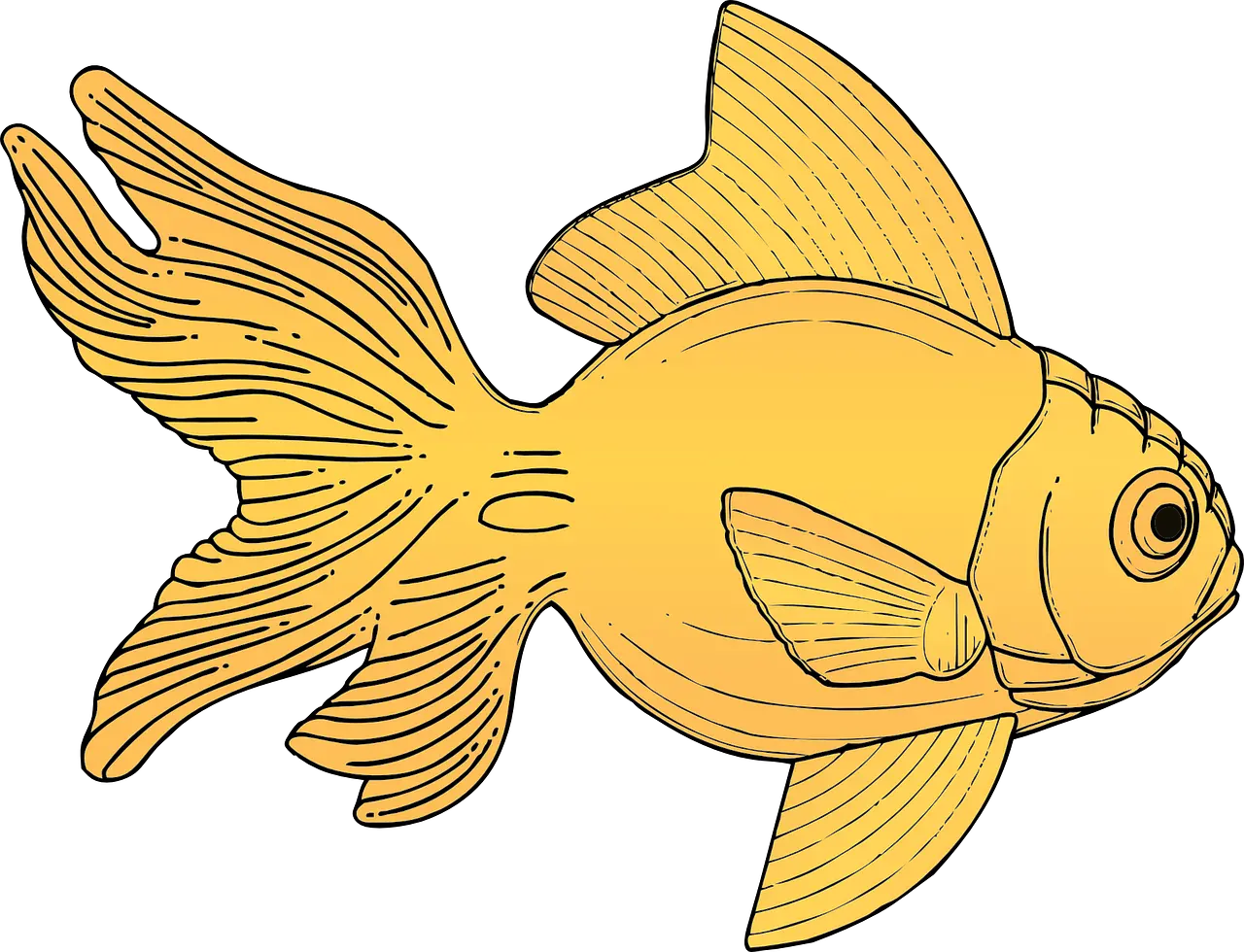 Fish Skeleton Png