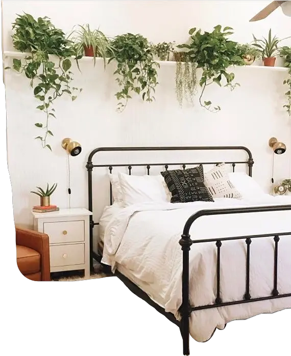 Cute Cute Rooms With Plants Png Bedroom Png
