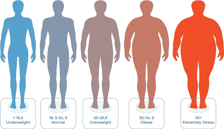 Bmi Chart Body Mass Index To Weight Loss Does 25 Bmi Look Like Png Body Mass Index Icon