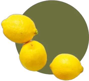 Leaf And Ginger Leaf And Ginger Meyer Lemon Png Ginger Icon