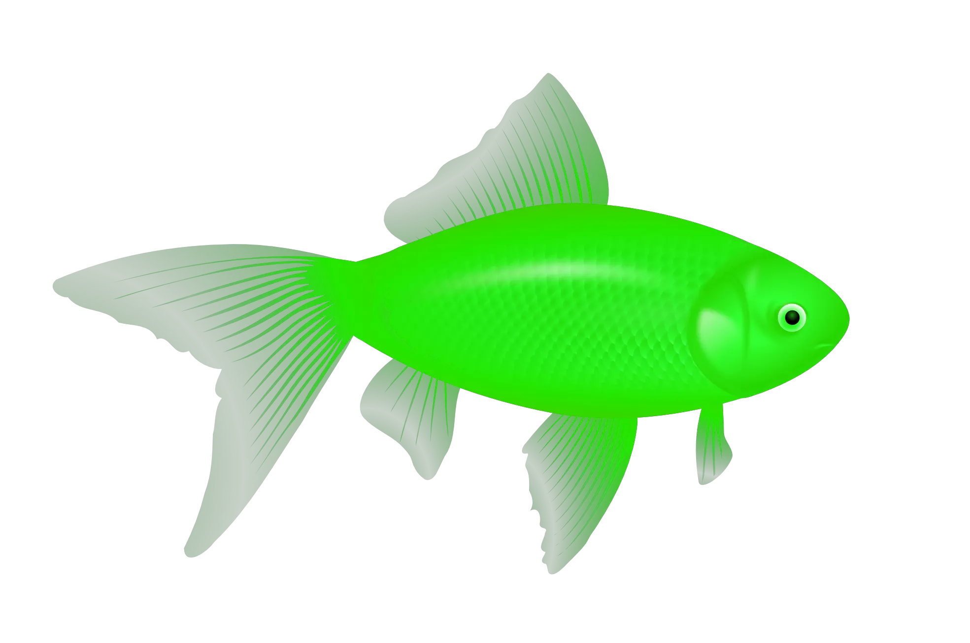 Fish Png Icon