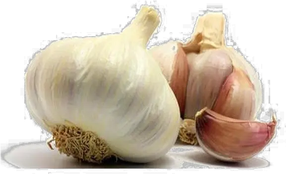 Garlic Png Photo Garlic Full Hd Garlic Png