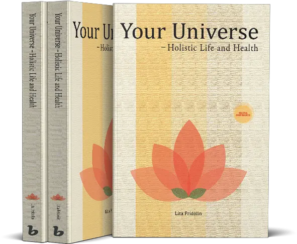 Your Universe Lita Fridolin Book Cover Png Lita Png