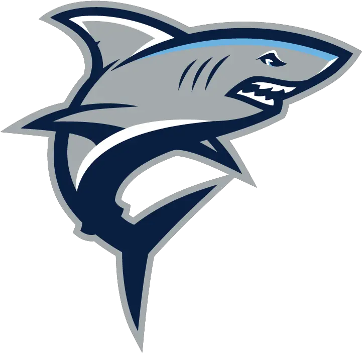 Mantap Sharks Colgan High School Png Shark Logo Png